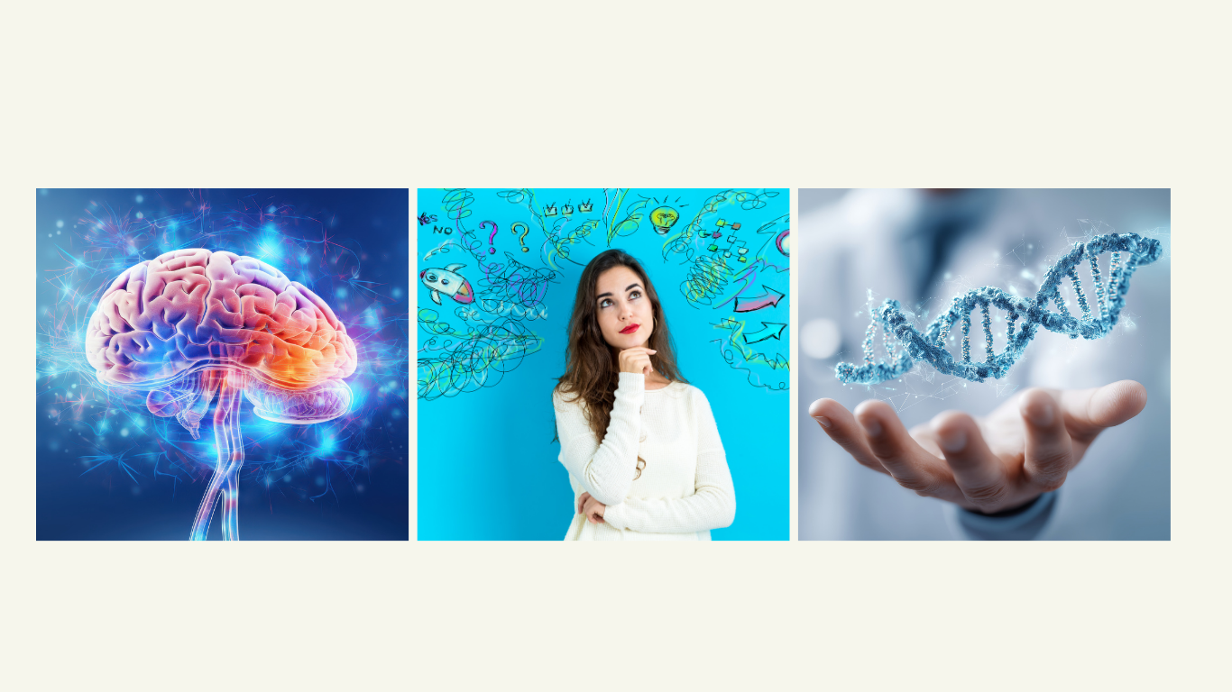 Pensamientos positivos y cerebro: cómo la mente influye en tus células y en la longitud de los telómeros